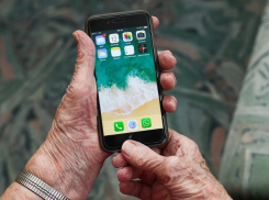 Волгоградцы могут пожаловаться диспетчерам на заползших в дом змей и агрессивных собак