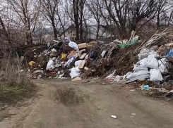 Трехметровую свалку сняли на видео в Волгограде: наступает на жилые дома
