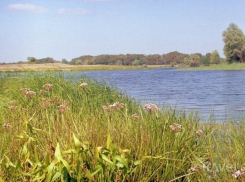 25 млрд рублей потратит Волгоградская область на сохранение Волго-Ахтубинской поймы