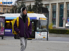 Тепло до +16 градусов и облачно: погода в Волгоградской области на 2 ноября