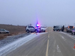 Лошадь стала виновником массового ДТП на трассе в Волгоградской области: двое в больнице