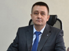 Прорвало гнойник: космические цены и другие странности с маслом объяснил волгоградский эксперт 