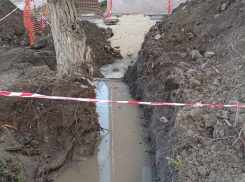 «Бросили яму – теперь под домом бассейн»: волгоградец показал ужасы ремонта на объекте культурного наследия