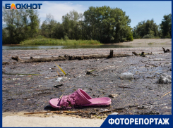 «Ерик превратился в болото»: пойму под Волгоградом спасают за миллиарды рублей