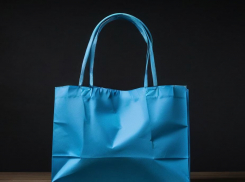 Бумажные пакетики за 600 тысяч рублей заказала облдума в Волгограде