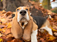 В Волгоградской области продолжает теплеть: воздух прогреется до +24ºС