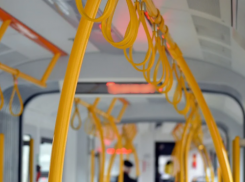 Жители Волгограда раскритиковали организацию Дня Победы мэрией: показал опрос