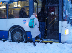 В День студента в Волгограде синоптики обещают снег и слабый мороз