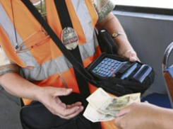 Мэрия Волгограда планирует поднять стоимость проезда до 30 рублей 