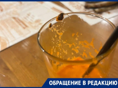 Волгоградец нашел таракана в морковном фреше в ресторане «Швейк»: видео