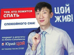 Политолог из Волгограда собрал самые нелепые предвыборные плакаты