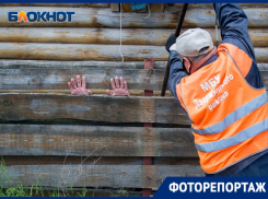 Снос конюшен в «Сосновом бору» Волгограда в объективе фотографа: день 1
