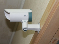 Волгоградцы смогут следить за выборами в Медиа-марафоне