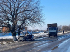 Водителя в крайне тяжелом состоянии спасают после шок-аварии под Волгоградом 