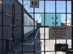 Любителя арестантской романтики отправили познакомиться с кумирами  под Волгоградом 