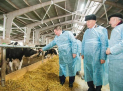 Андрей Бочаров оказался несексуальным губернатором