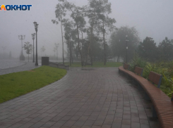 «Химозный» туман накрыл Волгоград 