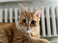 Названа дата старта отопительного сезона в Волгоградской области 