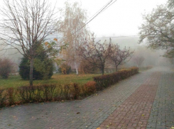 Морозы до -5ºС пришли в Волгоградскую области