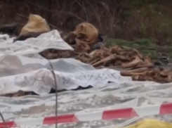 Волгоградец создал петицию президенту в защиту мемориала на Нижнем Тракторном 