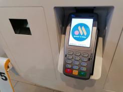 «Катится вниз»: волгоградцы продолжают критиковать «Вкусно - и точка»