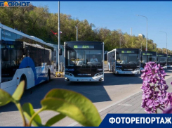 Пятнадцать новеньких автобусов выйдут на популярный маршрут №21 в Волгограде 
