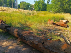 Страшное гнилье достали с места трубопровода в Волгограде