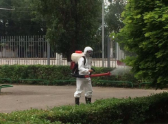 В Волгограде продолжают травить комаров и мошек