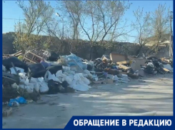 Гигантский мусорный червь вырос в волгоградском частнике