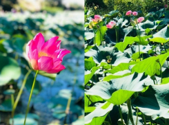 Фоторепортаж: как волгоградцы провели последние выходные этого лета