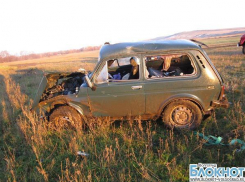 В Волгоградской области водитель погиб на месте аварии