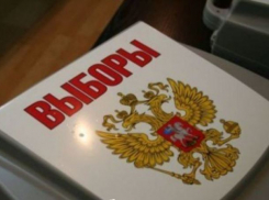 Волгоград станет первой площадкой для онлайн-голосования в Интернете