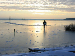 Под Волгоградом в пруду утонул 27-летний рыбак