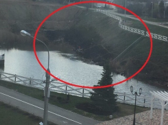 Горящий камыш едва не убил уточек на «Бейкер стрит» в Волгограде