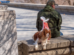 Единовременную денежную выплату до 30 июня получат волгоградцы