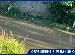 «Ждете, пока отравимся и сдохнем?»: фекальное ЧП сняли на видео в Волгограде