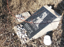«Даже гранитные надгробия есть»: волгоградец показал неизвестное кладбище домашних животных