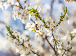 Советы от астролога на неделю: Близнецы неожиданно получат деньги