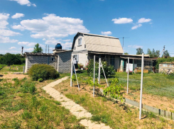 Дачник изрезал топором ноги своему другу в СНТ «Дзержинец»