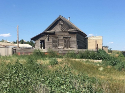 Дитя Сталинграда нашли разорванного собаками под Волгоградом