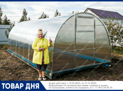 Теплицы с усиленным каркасом от завода-производителя «Поспеваево»