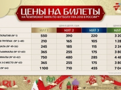 Самый дешевый билет на матч ЧМ-2018 будет стоить 1280 рублей