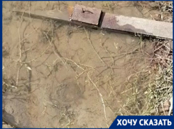 Мэрия Волгограда, «УК ТЗР» и концессионеры полтора месяца не могут починить трубу: вода стекает в подвал дома