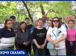 Уголовного дела из-за троллейбусов потребовали волгоградцы у Бастрыкина 