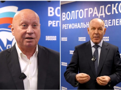 Экс-мэр Волгограда и спецпредставитель губернатора включились в битву за билеты в Госдуму
