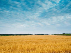 Волгоградская жара и солнце возвращаются обратно
