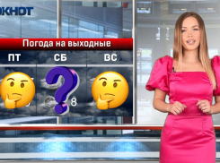 Блондинка в розовом напророчила волгоградцам соблазнительную для прогулок погоду