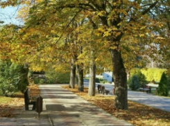 В Волгограде ноябрь стал рекордно теплым месяцем