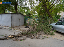 МЧС предупредило о шторме в Волгоградской области