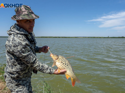 «Мы не хотим делиться с природой»: в Волгограде День рыбака празднуют со слезами на глазах